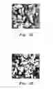 Fig. 04 - SYSTEM AND METHOD FOR REMEDIATION OF OIL-CONTAMINATED SAND
