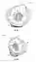 Fig. 11 - Small air-cooled engine assembly with dry sump lubrication system