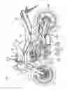 Fig. 02 - Exhaust system for engine
