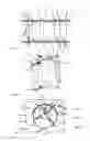 Fig. 04 - VARIABLE AREA BLADE TURBINE AND CONDITIONING FLOW DEFLECTORS DEVICE AND METHOD