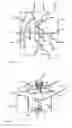 Fig. 08 - VARIABLE AREA BLADE TURBINE AND CONDITIONING FLOW DEFLECTORS DEVICE AND METHOD
