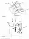 Fig. 11 - VARIABLE AREA BLADE TURBINE AND CONDITIONING FLOW DEFLECTORS DEVICE AND METHOD