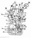 Fig. 01 - Piston machine with cooling function