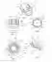 Fig. 02 - Fastener with protected decorative cap