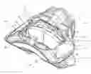 Fig. 01 - Disc brake and brake pad set
