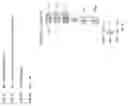 Fig. 22 - Gas permeable internal floating piston