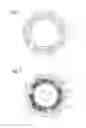 Fig. 04 - Damper with integrated centrifugal pendulum-type vibration absorbing device