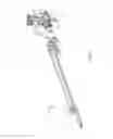 Fig. 02 - Hard stop assembly for a joint adapted for more than a single revolution