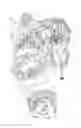 Fig. 03 - Shift on the fly transmission