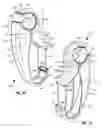 Fig. 11 - Manually actuatable hanger for suspending articles from a tubular carrier structure