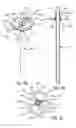 Fig. 04 - Lighting device with mechanical fastening part