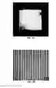 Fig. 06 - Nano-scale light-emitting diode (LED) electrode assembly emitting polarized light, method of manufacturing the same, and polarized LED lamp having the same
