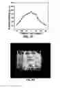 Fig. 07 - Nano-scale light-emitting diode (LED) electrode assembly emitting polarized light, method of manufacturing the same, and polarized LED lamp having the same