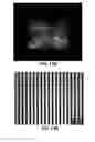 Fig. 13 - Nano-scale light-emitting diode (LED) electrode assembly emitting polarized light, method of manufacturing the same, and polarized LED lamp having the same