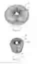 Fig. 01 - Transformable lighting appartus