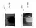 Fig. 52 - LIGHT CONTROL SYSTEMS AND METHODS