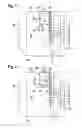 Fig. 02 - Exterior aircraft light unit