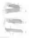 Fig. 02 - Combined evaporator and mixer