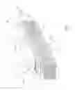 Fig. 03 - Falling film evaporator