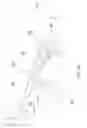Fig. 10 - Firearm