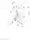 Fig. 13 - Firearm
