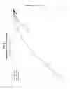 Fig. 03 - Optical system with cant indication