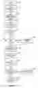 Fig. 05 - Transportation routing