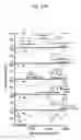 Fig. 16 - Rapid and label-free procedure for microbial community screening and profiling