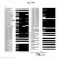 Fig. 28 - Rapid and label-free procedure for microbial community screening and profiling