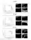 Fig. 32 - Rapid and label-free procedure for microbial community screening and profiling
