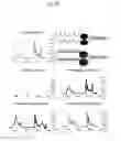 Fig. 44 - Rapid and label-free procedure for microbial community screening and profiling