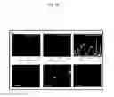 Fig. 47 - Rapid and label-free procedure for microbial community screening and profiling