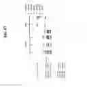 Fig. 60 - Rapid and label-free procedure for microbial community screening and profiling