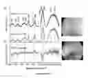 Fig. 13 - RAMAN SPECTROSCOPY SYSTEM, APPARATUS, AND METHOD FOR ANALYZING, CHARACTERIZING, AND/OR DIAGNOSING A TYPE OR NATURE OF A SAMPLE OR A TISSUE SUCH AS AN ABNORMAL GROWTH