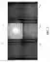 Fig. 04 - Optical and chemical analytical systems and methods