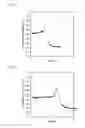 Fig. 06 - Blood coagulation system analysis device, and method and program for analysis of blood coagulation system