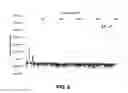 Fig. 07 - Ultrasonic system for nondestructive testing
