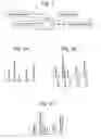 Fig. 02 - Staggered chromatography mass spectrometry