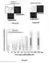 Fig. 03 - Method and device for analyzing alcoholic beverages