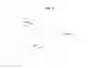 Fig. 04 - Apparatus and method for detecting microbes or bacteria