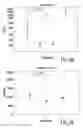 Fig. 03 - METHOD FOR DIAGNOSIS OF INFLAMMATORY DISEASES USING CALGRANULIN C