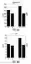 Fig. 06 - METHOD FOR DIAGNOSIS OF INFLAMMATORY DISEASES USING CALGRANULIN C