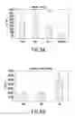 Fig. 08 - METHOD FOR DIAGNOSIS OF INFLAMMATORY DISEASES USING CALGRANULIN C