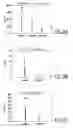 Fig. 11 - METHOD FOR DIAGNOSIS OF INFLAMMATORY DISEASES USING CALGRANULIN C