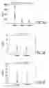Fig. 12 - METHOD FOR DIAGNOSIS OF INFLAMMATORY DISEASES USING CALGRANULIN C