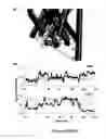 Fig. 06 - SmFRET with membrane proteins