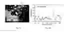 Fig. 15 - Devices for detecting target biological molecules from cells and viruses