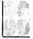 Fig. 08 - Biomarker SPAG5