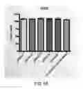 Fig. 07 - METHODS OF DETERMINING SEROTYPE SPECIFICITY OF AN ANTIBODY