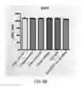 Fig. 09 - METHODS OF DETERMINING SEROTYPE SPECIFICITY OF AN ANTIBODY